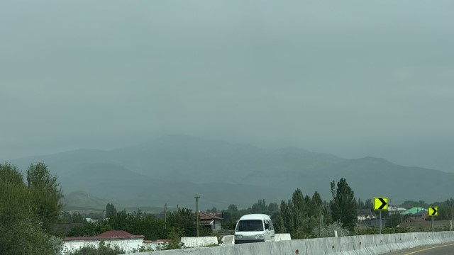 IMG 8772