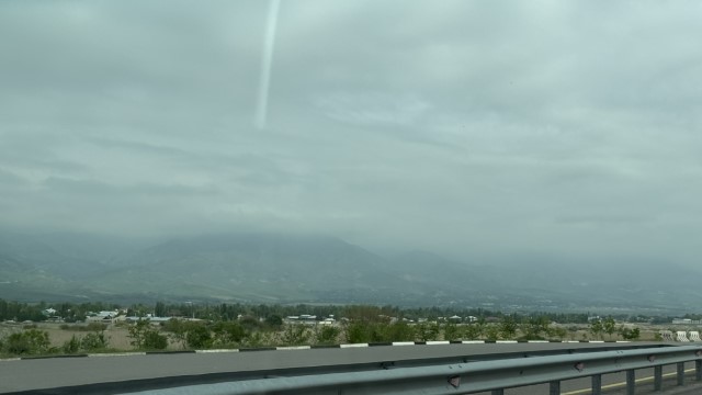 IMG 8774