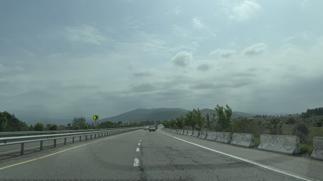 IMG 8782