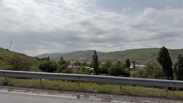 IMG 8784