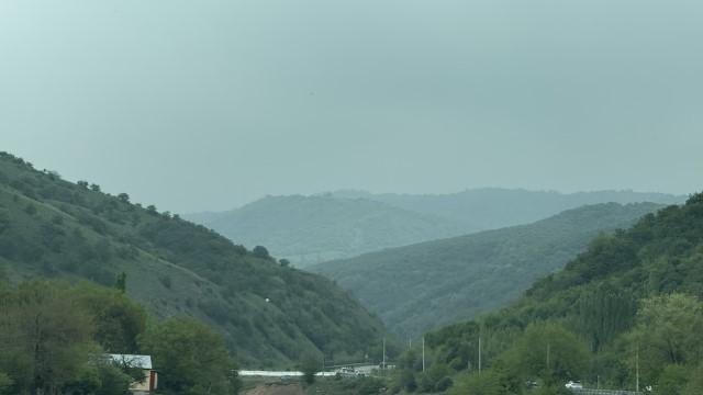 IMG 8790