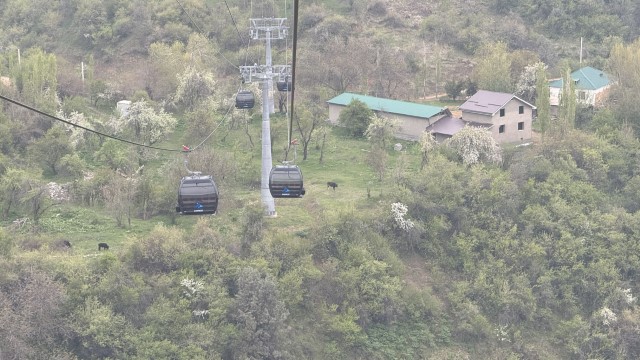 IMG 8816