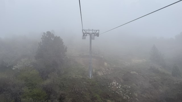 IMG 8862