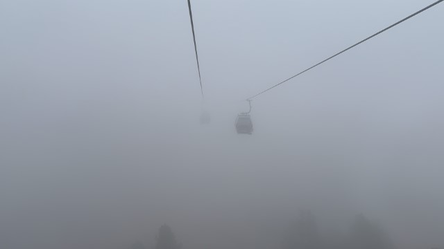 IMG 8871