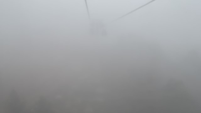 IMG 8876