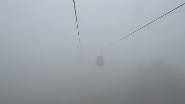 IMG 8885