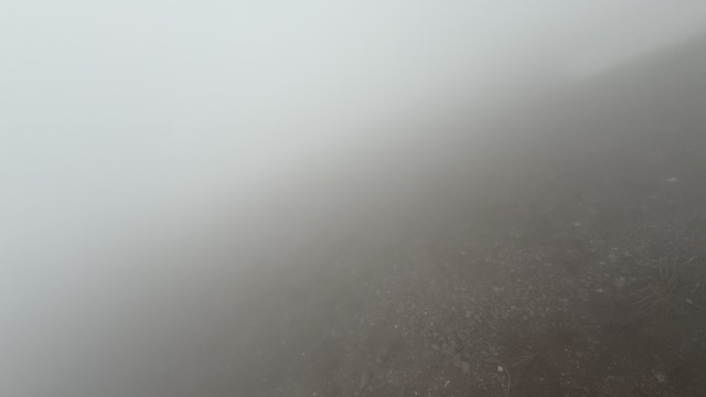 IMG 8901