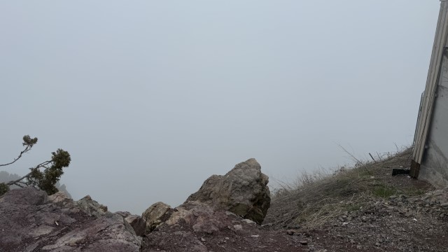 IMG 8903