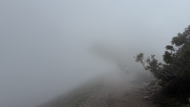 IMG 8909