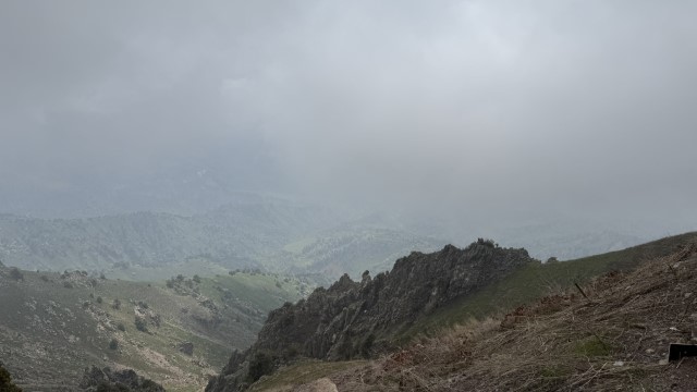 IMG 8920