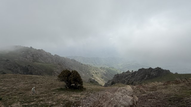 IMG 8921