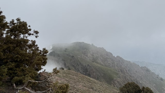 IMG 8922