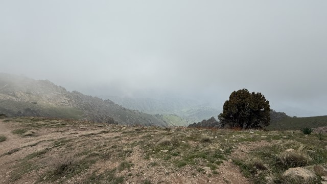IMG 8931