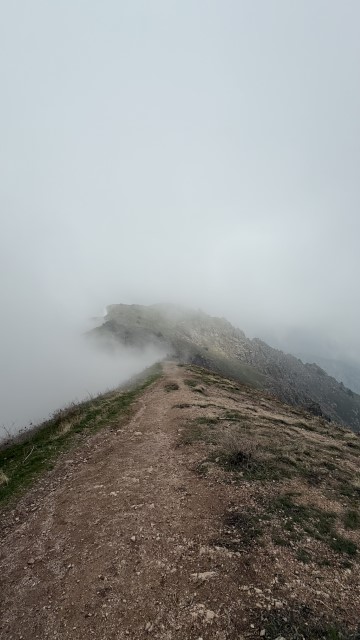 IMG 8933