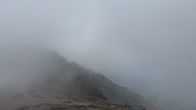 IMG 8939