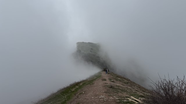 IMG 8944