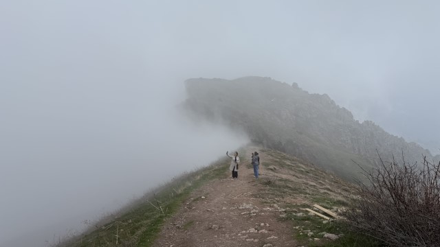 IMG 8948