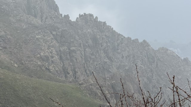 IMG 8949