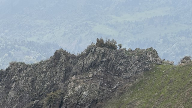 IMG 8952
