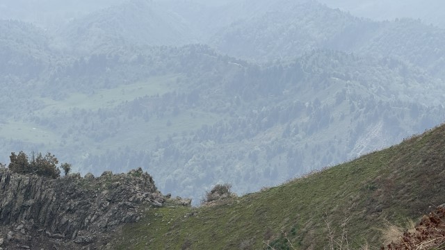 IMG 8953