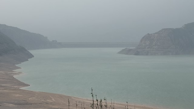 IMG 8986