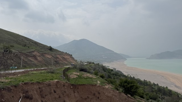 IMG 8993