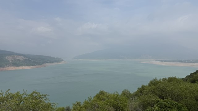 IMG 9008