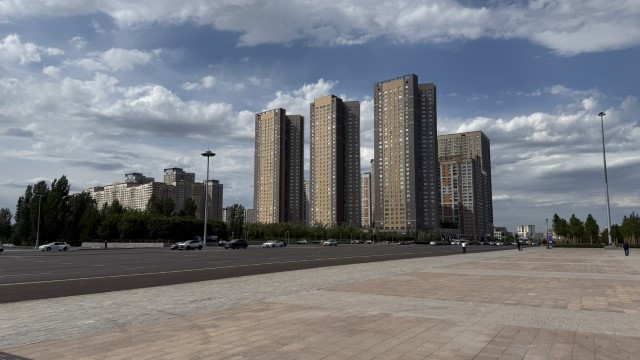 IMG 0020