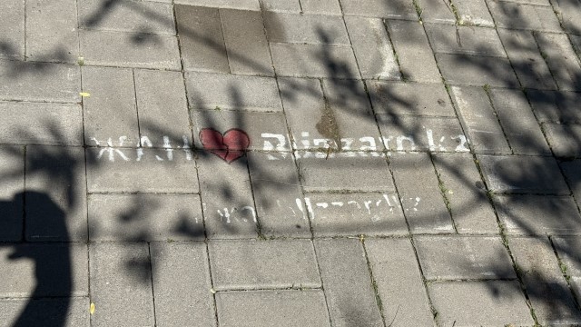 IMG 9730
