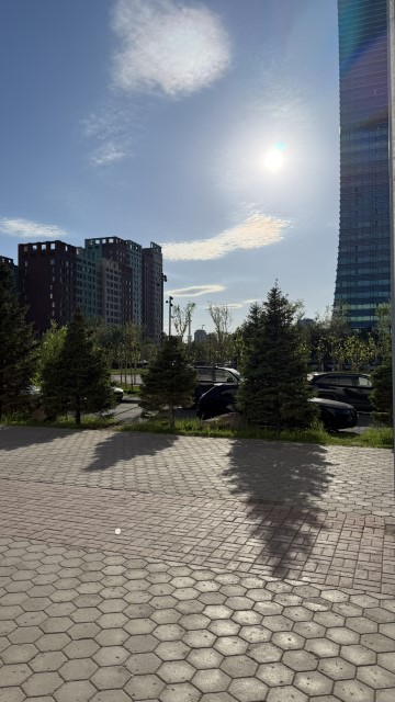 IMG 9864