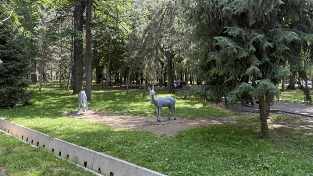 IMG 0142