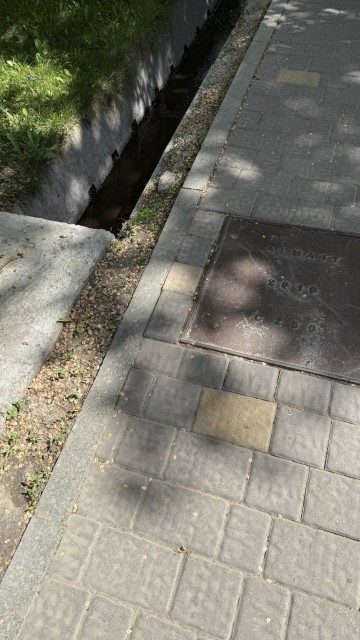 IMG 0184