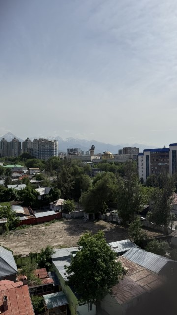 IMG 0203