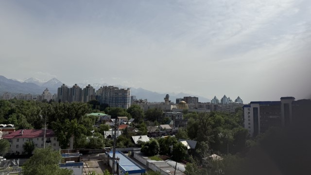 IMG 0204