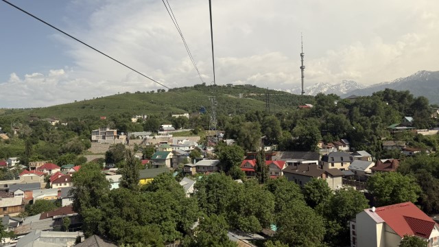 IMG 0205