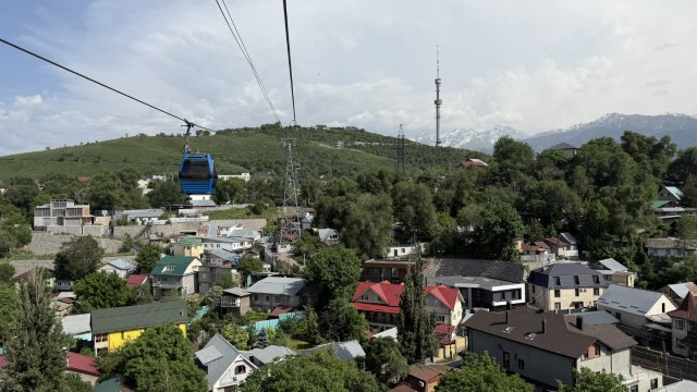 IMG 0206