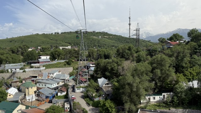 IMG 0209