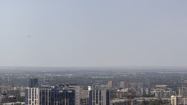 IMG 0212