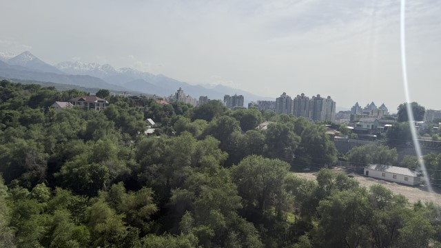 IMG 0219