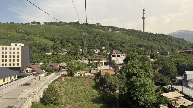 IMG 0220