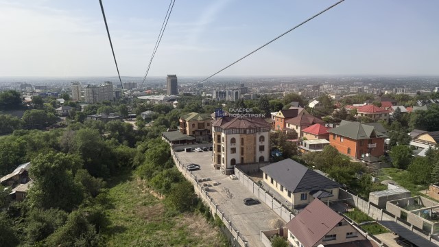 IMG 0224