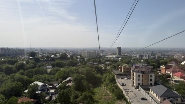 IMG 0225