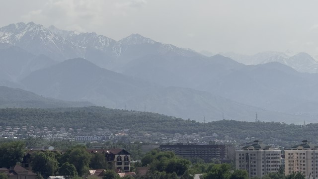 IMG 0228