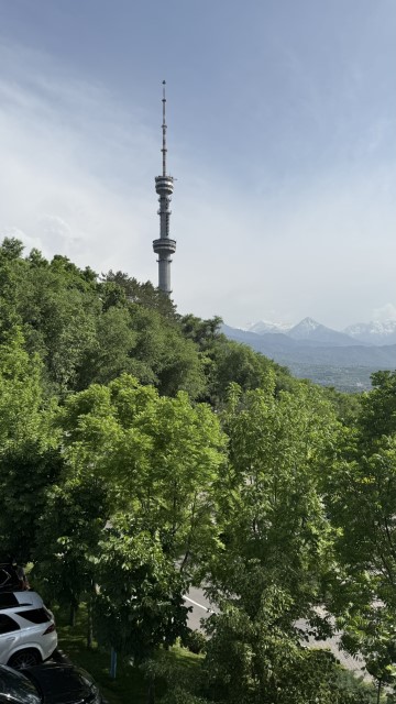 IMG 0237
