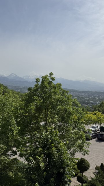 IMG 0238