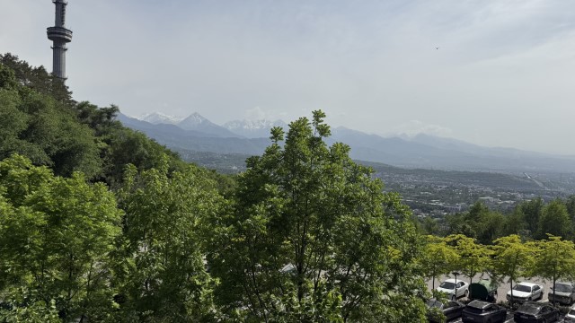 IMG 0239