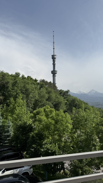 IMG 0243