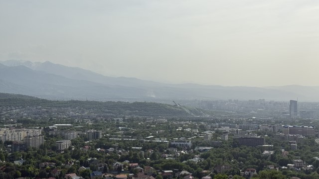 IMG 0252