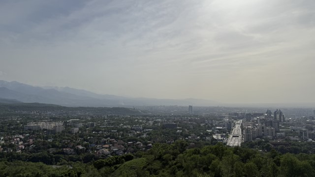 IMG 0253