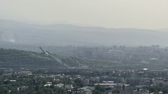 IMG 0255